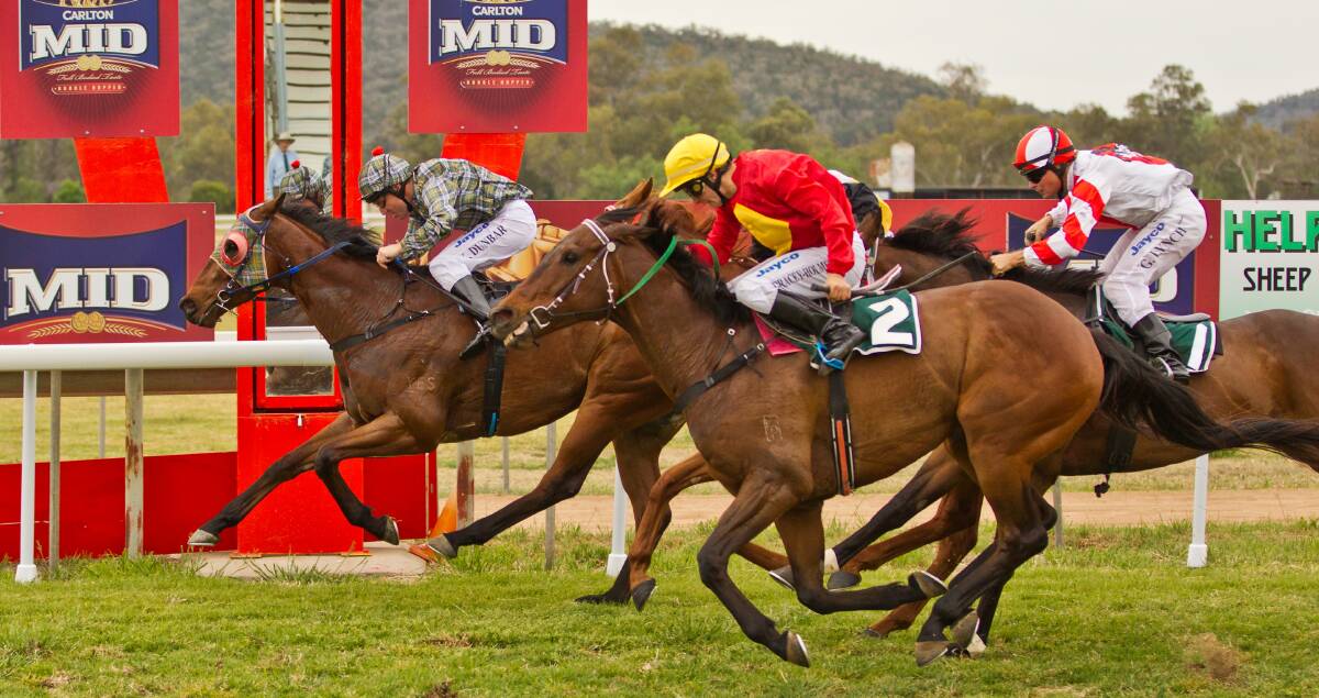 Paul Theobald's Dunderry, seen here winning a race earlier in his career, will line up for a shot at the Digger's Cup on Sunday.  
Photo: JANIAN MCMILLAN (www.racingphotography.com.au)
