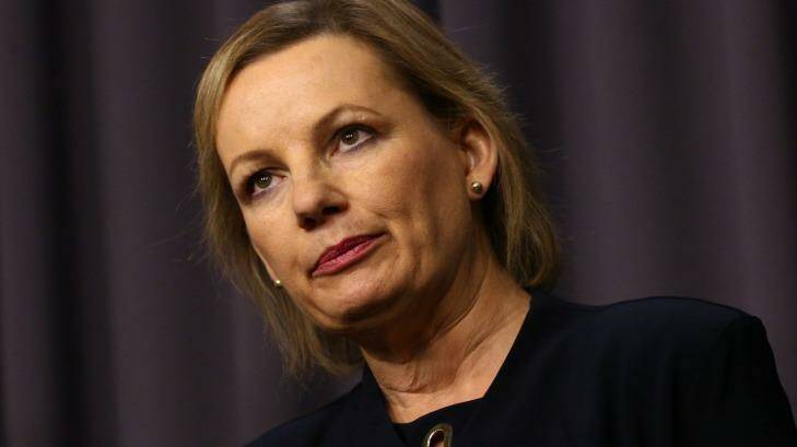 Some unsolicited advice on health spending for the Health Minister Sussan Ley. Photo: Andrew Meares
