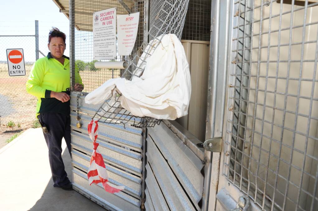 Dubbo animal shelter attendant Karin Brouggy at the after-hours pens recently broken into to remove the animals inside. 					  Photo: BELINDA SOOLE