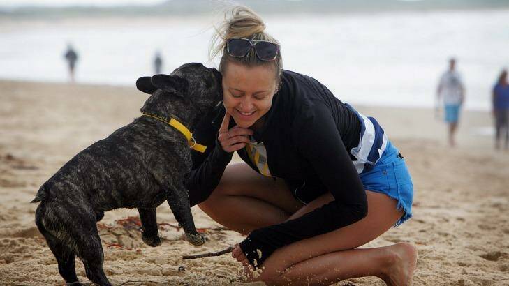 Joanna Wilczak plays with her French bulldog Roger on the dog-friendly Wanda Beach near Cronulla. Photo: Jeff Darmanin 