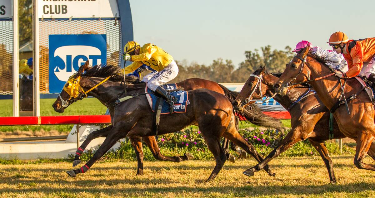 Sonro lunges to win the Forbes Cup (1600m) yesterday.  
Photo: JANIAN McMILLAN (www.racingphotography.com.au)