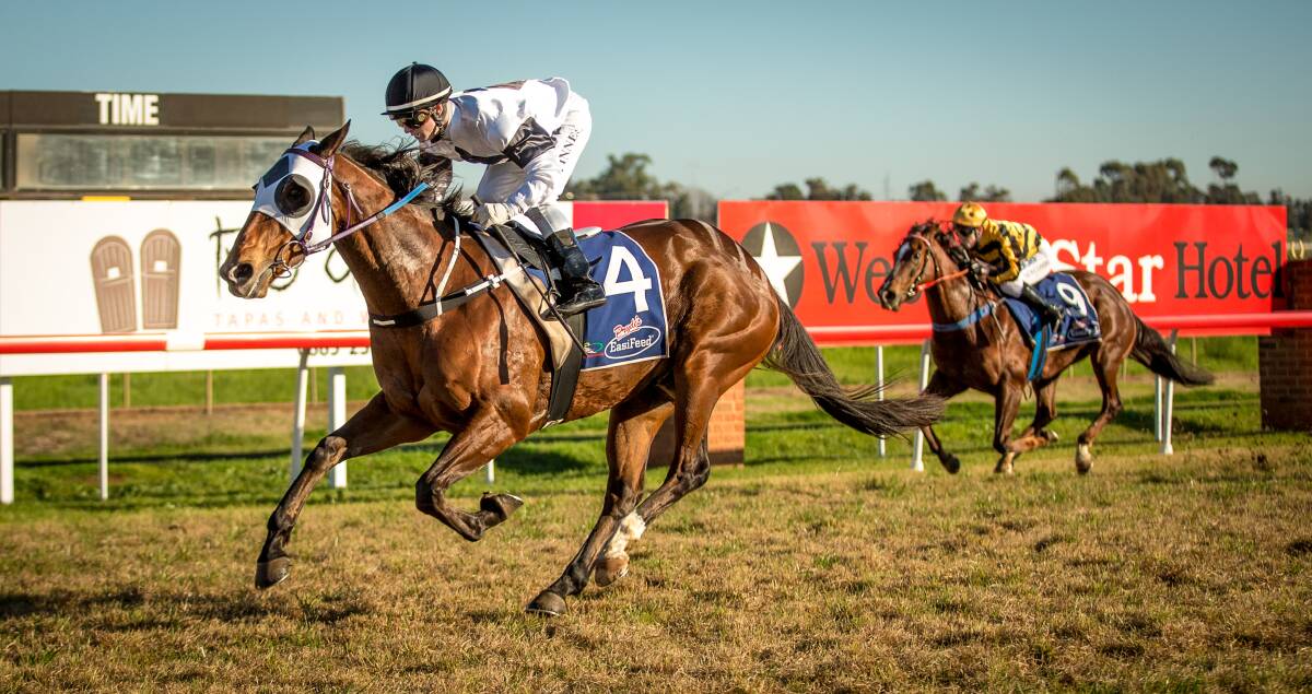 In Ernest heads to Wellington on Monday in winning form after winning at Dubbo last weekend. Photo: JANIAN MCMILLAN (www.racingphotography.com.au)