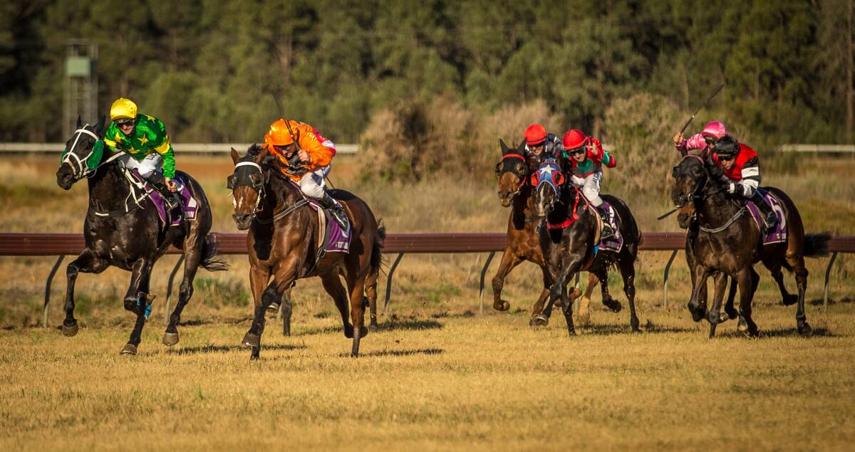 Ken Dunbar gets everything out of Bulwarra Belle (orange colours) in Saturday's Coradgery Cup (1400m) at Parkes.  
Photo: JANIAN McMILLAN (www.racingphotography.com.au)