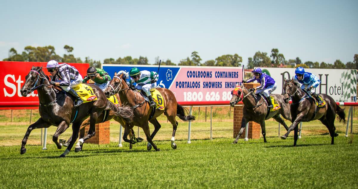 Bowie's Babe (white and green hoops) finishes third behind Alart at Dubbo back in February of this year.  
Photo: JANIAN McMILLAN (www.racingphotography.com.au)