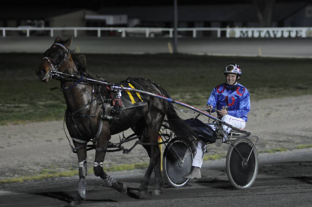 Jason Turnbull's Truly Miss Terious is being hotly tipped to get a race win at tonight's Trundle Meeting at Parkes Paceway. 
	Photo: CHRIS SEABROOK