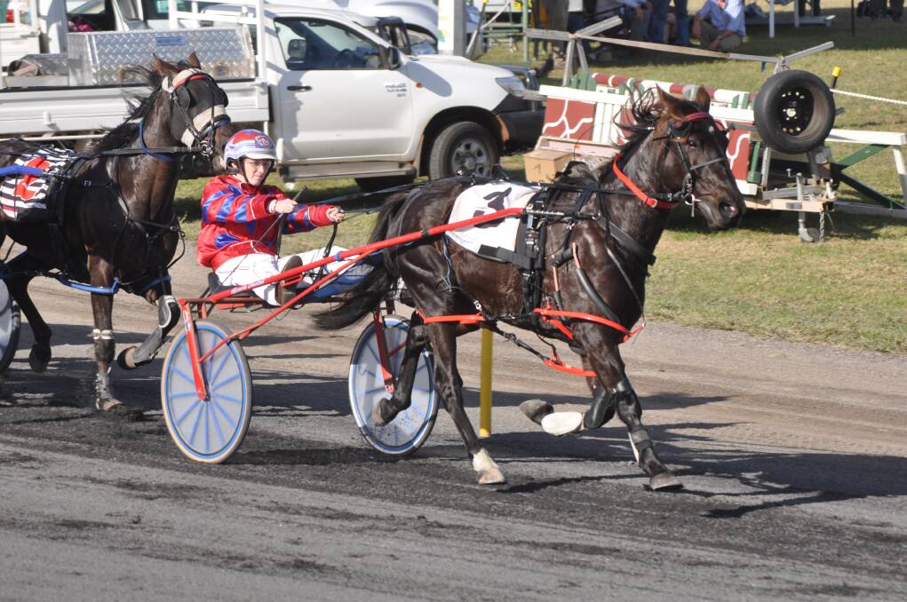Amanda Turnbull looks to have another good book of drives at Dubbo tomorrow. 
Photo: BEN WALKER