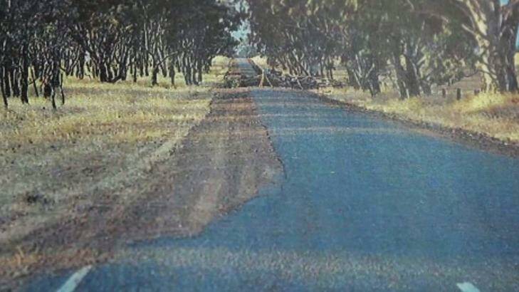 The Nhill-Harrow Road near Harrow in country Victoria where Ms Henderson and her friend hit gravel and smashed into a tree. Photo: Andrew Darby