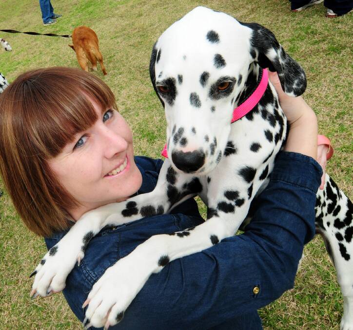 Nat Hume with Lace the dalmatian.  
 
	Photo: LOUISE DONGES