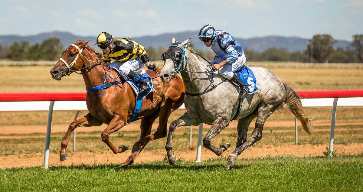 Gelsomina (inside), seen here winning at Narromine, will be part of a potential four-pronged attack launched by Leon Davies on the Country Championships. Photo: JANIAN McMILLAN (www.racingphotography.com.au)
