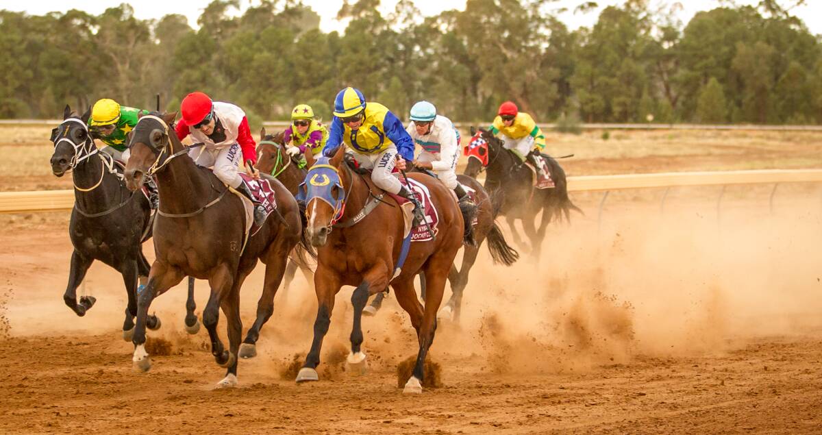 Azarax, pictured winning at Nyngan in April, was one of a number of recent winners for Forbes trainer Bill Hayes in Queensland.  
Photo: JANIAN MCMILLAN (www.racingphotography.com.au)