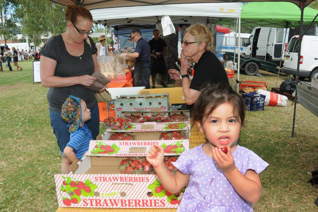 Karah Kim with a fresh strawberry from the Borenore Berry Farm at the Farmer's Markets on Saturday. Borenore Berry Farm owner Kate Dickson said buying from local producers would avoid concerns about hygeine practises of overseas producers. Photo: HANNAH SOOLE