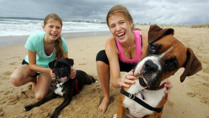 Sydneysiders have very few off leash option. But Emily,16, and Charlotte, 13, love taking their boxers Riley and Bessie to Wanda Beach near Cronulla. Photo: Jeff Darmanin
