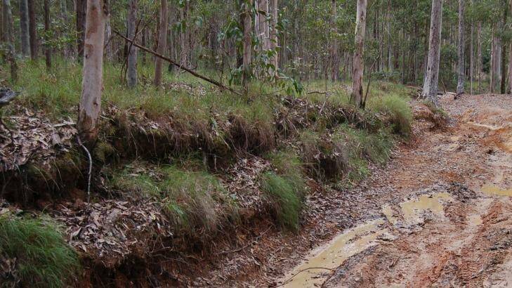 Man survived four freezing nights in Hunter region bushland. Photo: Supplied