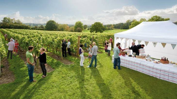  Food and drink Wineries such as Chapel Down Vineyard in Kent are winning awards for their sparkling wine. 