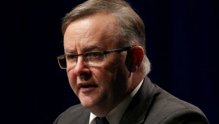 The proposed changes have prompted Labor frontbencher Anthony Albanese to consider switching from the neighbouring seat of Grayndler to challenge for Barton. Photo: Andrew Meares