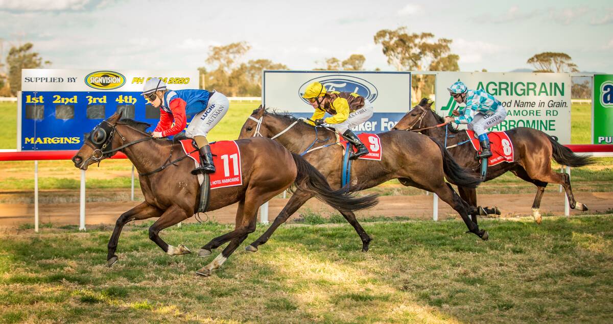 Claire Nutman guides At Twilight to victory in Sunday's $26,000 Narromine Gold Cup.  
Photo: JANIAN MCMILLAN (www.racingphotography.com.au)
