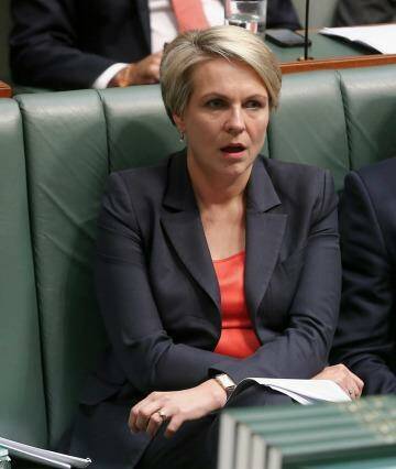 Labor's foreign affairs spokeswoman Tanya Plibersek says there are question marks over Australia's response to the 2014 Ebola breakout in west Africa. Photo: Alex Ellinghausen