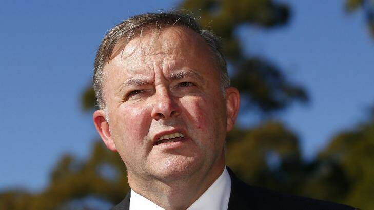 Anthony Albanese has revealed the Gillard and Newman government's had agreed on Cross River Rail to the extent a joint media conference had been organised. Photo: Daniel Munoz