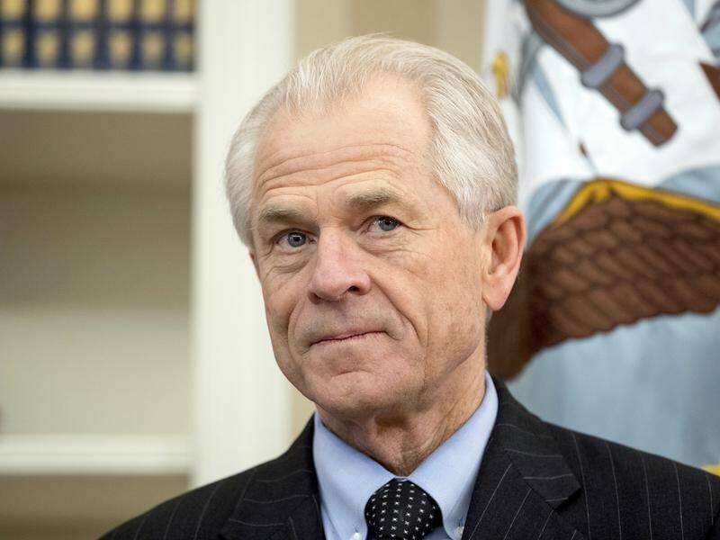 Trade adviser Peter Navarro (file) says the metal tariffs can be implemented without a trade war.