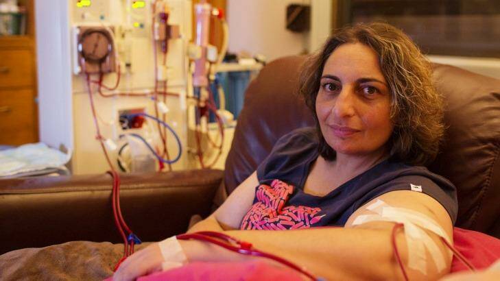Frances  Zammit last year on her home dialysis machine while she was waiting for her second kidney transplant, which she received in December. Photo: James Brickwood