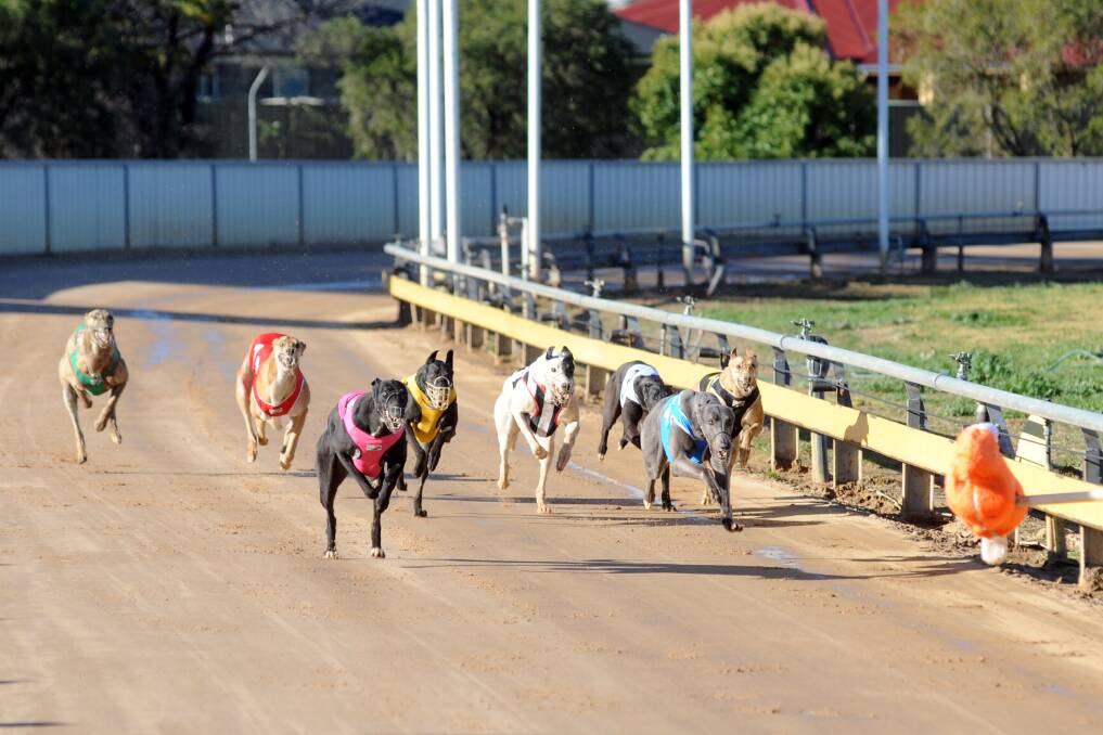Isabel Enlim (pink) makes her move down the home straight in yesterday s Dubbo Mayor's Cup Stakes. 	Photos: