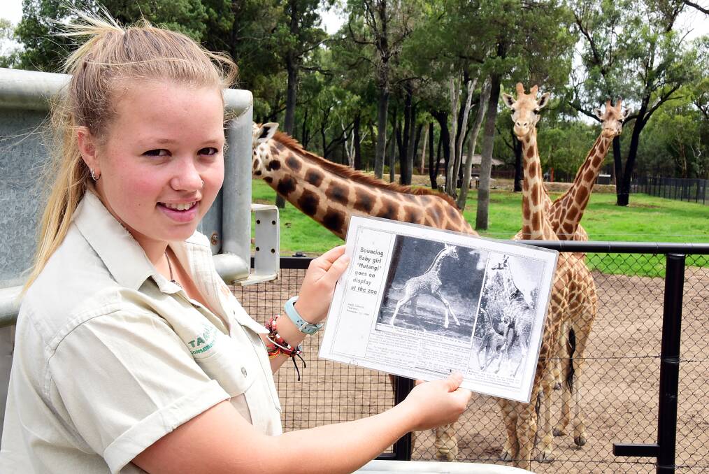 Taronga Western Plains Zoo staff member Rachel Schildkraut holds an archived story the Daily Liberal did in 1990 in Mutangi.  
   Photo: BELINDA SOOLE