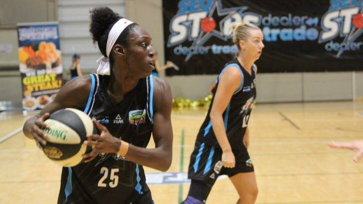 Stars Import Ify Ibekwe sizes up her options with the ball. Photo: Supplied