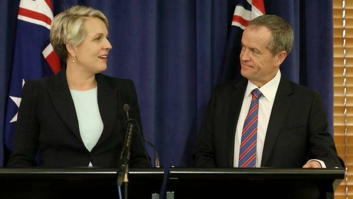 Tanya Plibersek and Bill Shorten at Parliament House in Canberra on Saturday.