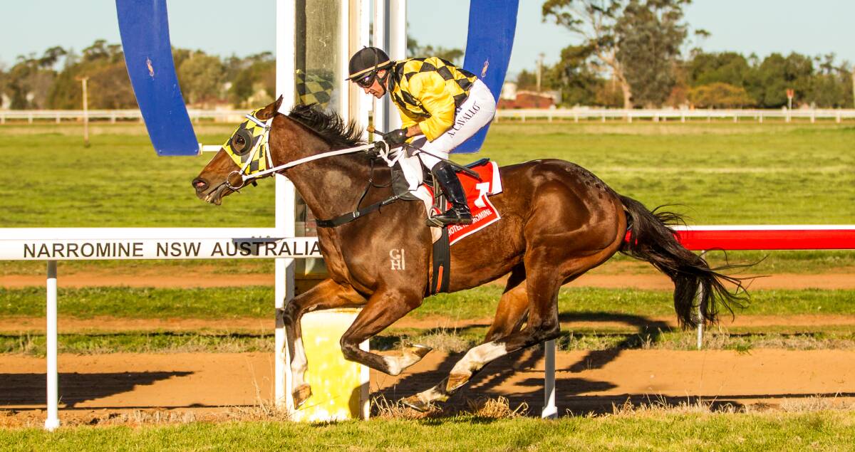 Mossamine added to his country cup collection with victory in the Cotton Cup (1600m) at Warren yesterday.  
Photo: JANIAN McMILLAN (www.racingphotography.com.au)