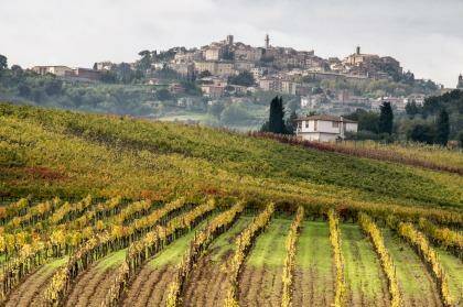 Colourful vineyards surround the medieval town of Montepulciano. Photo: Danita Delimont