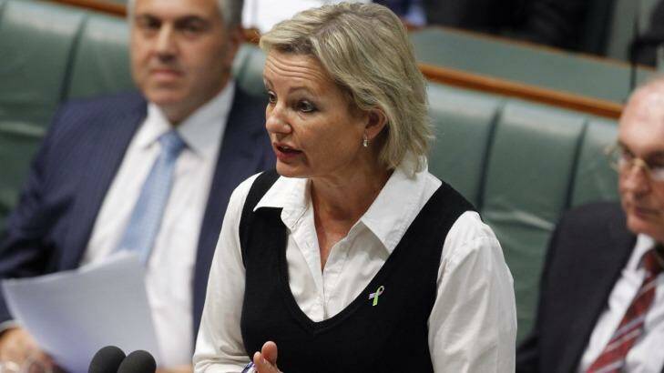 Second woman in cabinet: Sussan Ley.  Photo: Andrew Meares