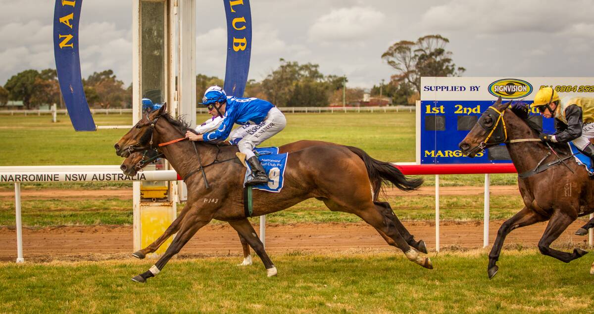 Winter In Seattle (outside) arrives just in time to wear down Icanacandy (obscured) at Narromine on Monday.  
Photo: JANIAN McMILLAN (www.racingphotography.com.au)