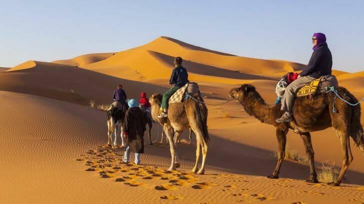 Tourists on camel safari, Sahara Desert, Merzouga, Morocco. Photo: Douglas Pearson