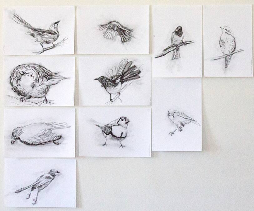 Kim V Goldsmith s charcoal birds. 				   Photo: Contributed