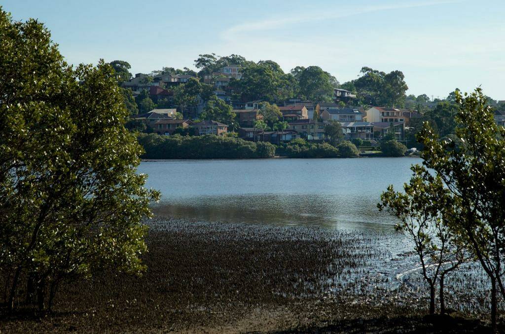 Serene and toxic: High levels of pollutants have been found in Oyster Bay sediments. Photo: Wolter Peeters