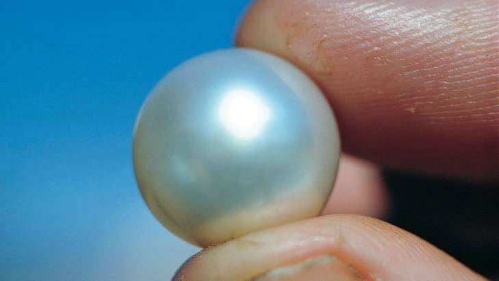 A broome pearl. Photo: Tourism Western Australia