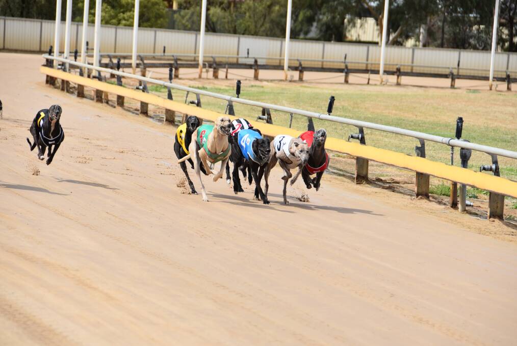 Overflo Magic (green rug) crosses the field in the early stages of the Bet To Win Tips Stakes (516m) at Dawson Park on Thursday.  
Photo: BEN WALKER