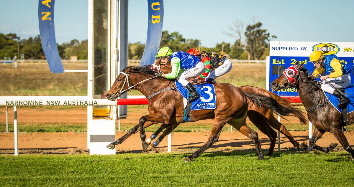 Playing Game holds off Oskastar to win at Narromine on Monday.  
Photo: JANIAN MCMILLAN (www.racingphotography.com.au)