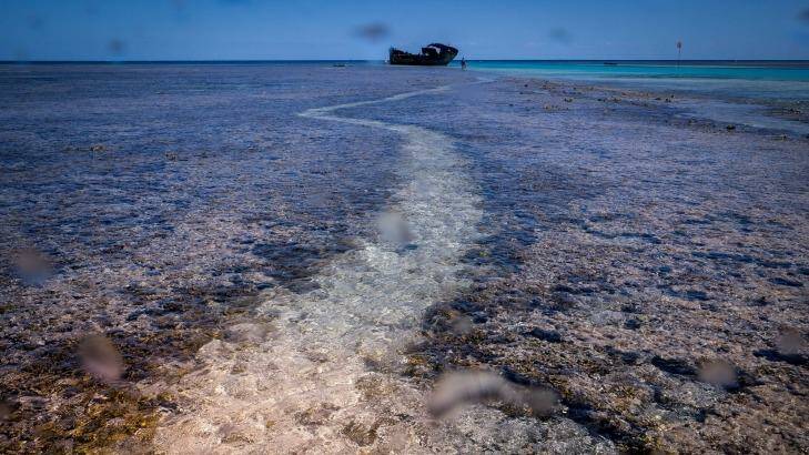 Looking dead flat at Heron Island. Photo: Eddie Jim
