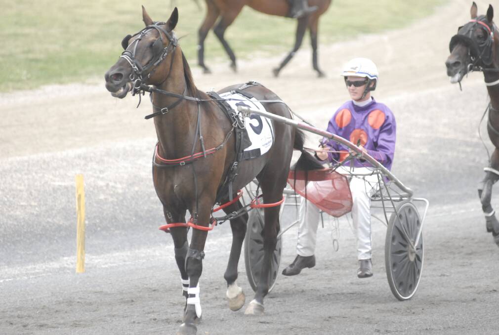 Goulburn trainer Sam Hewitt (pictured with Cruisin Carl) is hopeful classy mare Modern Dancer can get a win on Wednesday at Bathurst Paceway.  Photo: CHRIS SEABROOK