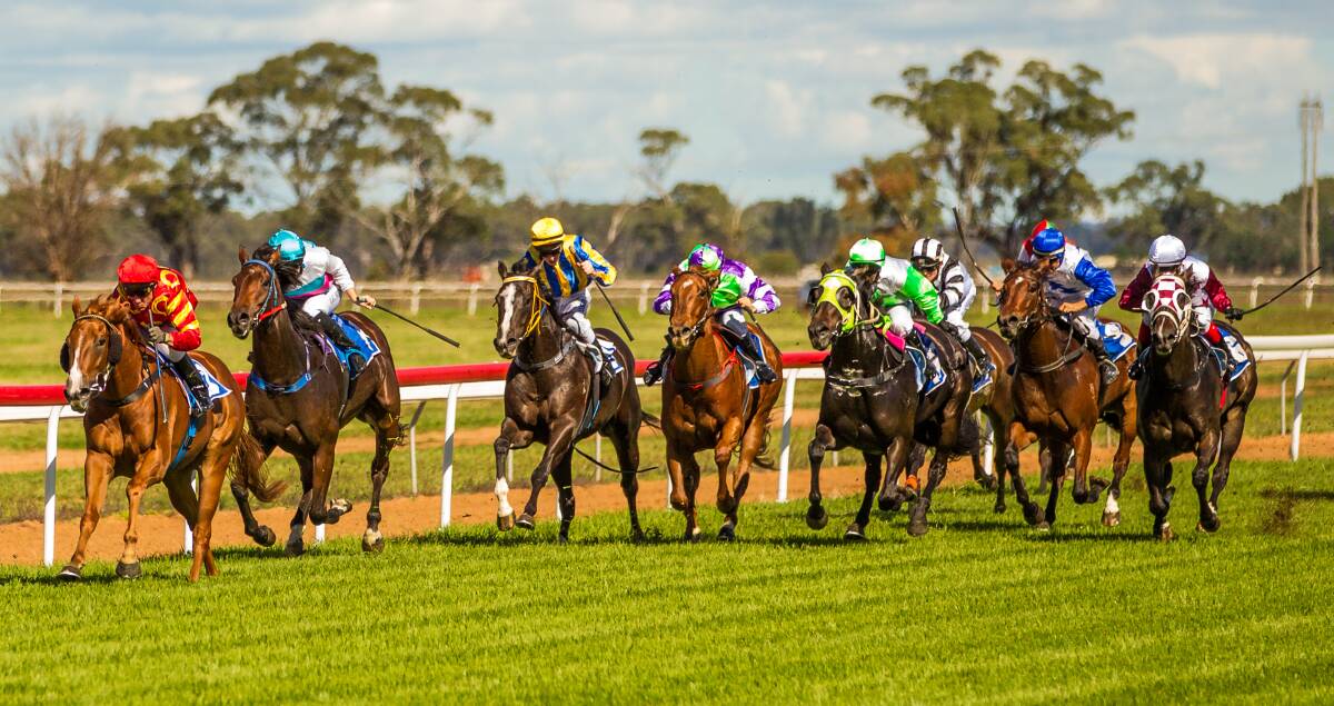 Autumn Nights was too good for his rivals in the first event at Narromine on Sunday.