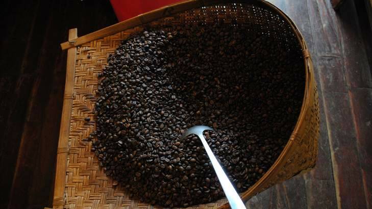 Roasted coffee beans at Hansa Coffee. Photo: Anthont Dennis