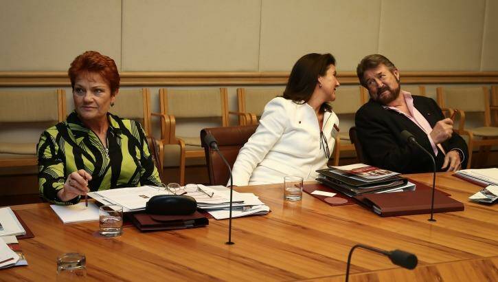 Senator Hanson, Senator Jane Hume and Senator Hinch during a presentation on the Senate on Tuesday. Photo: Alex Ellinghausen