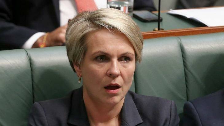 Labor's foreign affairs spokeswoman Tanya Plibersek says there are question marks over Australia's response to the 2014 Ebola breakout in west Africa. Photo: Alex Ellinghausen