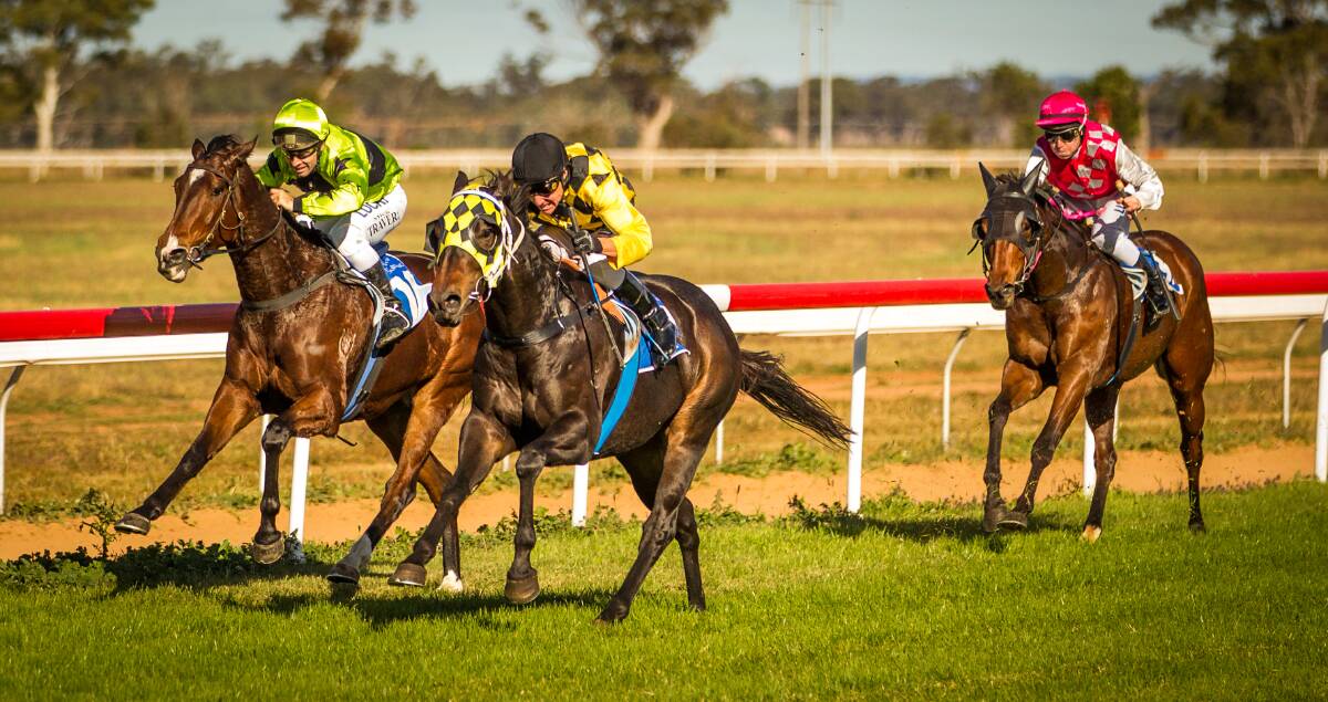 John s Jet, pictured winning at Narromine last year, will make his first start in more than seven months today when he lines up at Parkes.  
Photo: Janian McMillan (www.racingphotography.com.au)