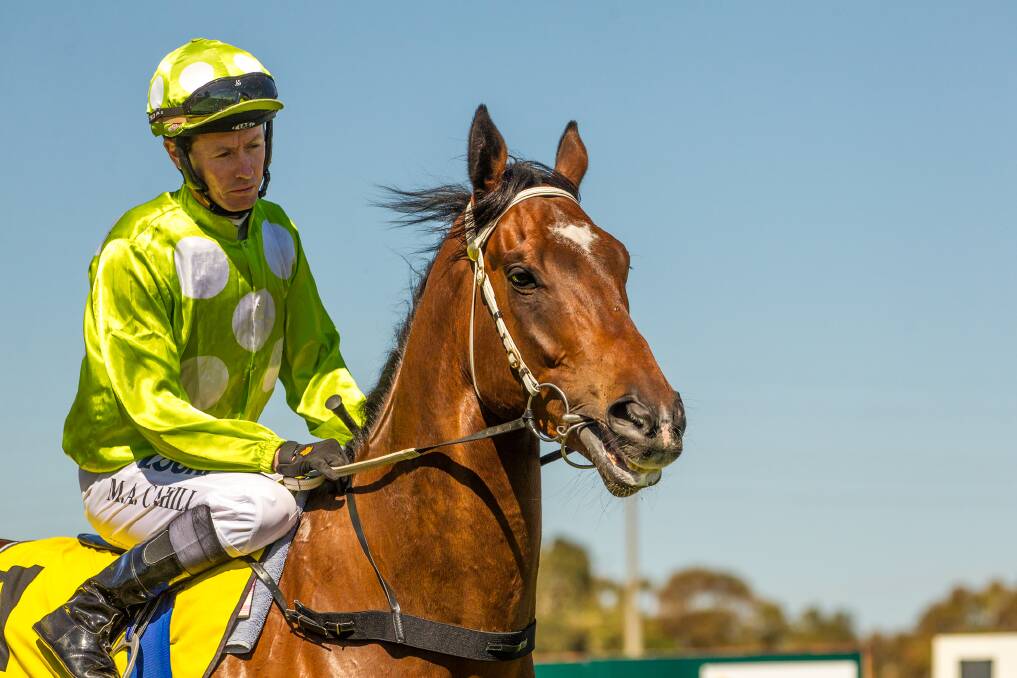 Mathew Cahill on His Highness at Dubbo on September. It was yesterday ruled the jockey had no case to answer at a hearing regarding his performance in the race. 	         	          Photo: Janian McMIllan (www.racingphotography.com.au)