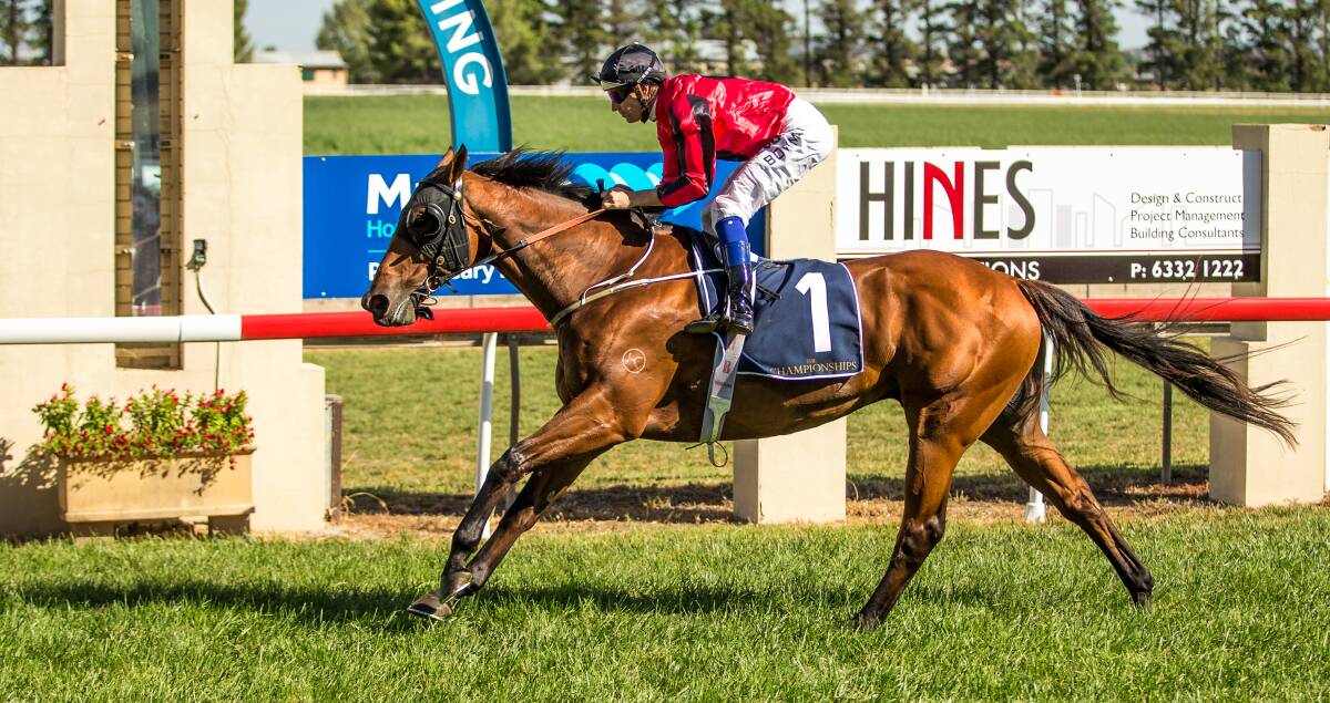 Binalong Road eases down to win the Country Championships heat at Bathurst yesterday. 	Photo: JANIAN McMILLAN (www.racingphotography.com.au)