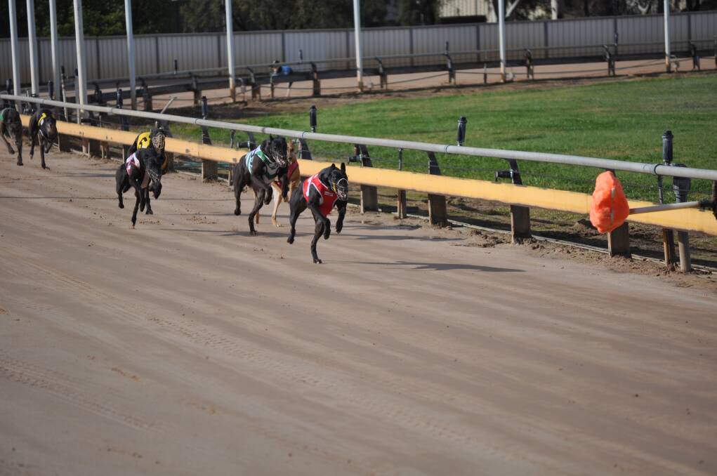 Katey zooms away from her rivals to win a heat of the bettowintips.com.au Series (400m) at Dawson Park on Thursday. 	Photo: BEN WALKER
