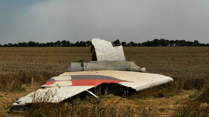 A portion of the MH17 wing lies in the field as smoke rises behind the tree-line. Russians no longer know what to think. Photo: Kate Geraghty