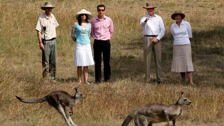 Denmark's Crown Prince Frederik (C) and his wife Princess Mary (2nd-L) are accompanied by Australia's Govenor-General Michael Jeffery (2nd-R) and his wife, Marlena (R), as they look at kangaroos during a walk in the grounds of the Government House in Canberra March 9, 2005. Photo: David Gray
